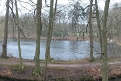 Waldspaziergang