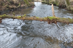 Waldspaziergang